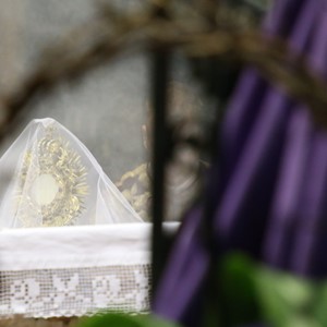 Kardinal Bozanić predvodio obrede Velikoga petka